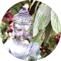 Tibetské Reiki a starobylá moudrost